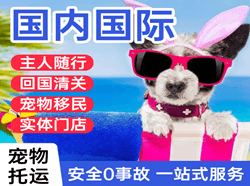 首都国际宠物托运 【国